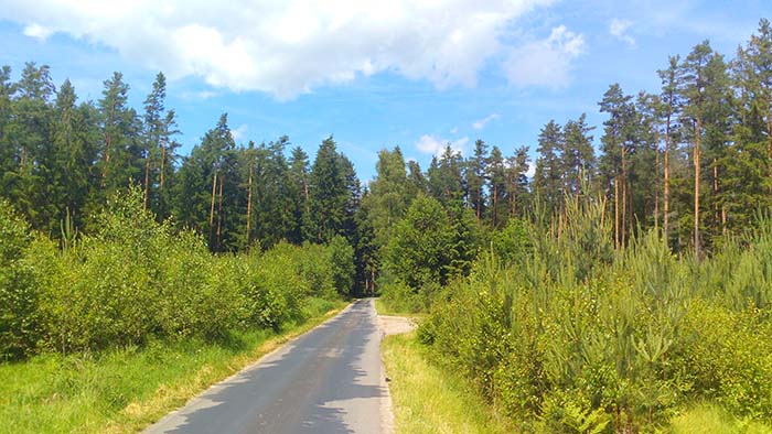 Lesní cesty pro cyklisty - ubytování penzion Vyhlídka